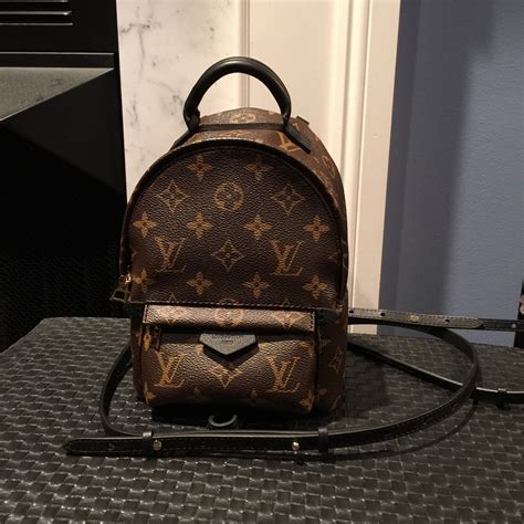 louis vuitton palm spring backpack mini|louis vuitton mini backpack wristlet.